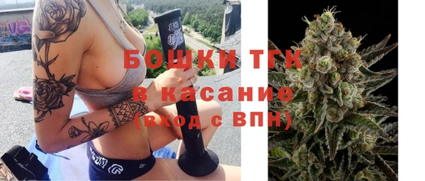 стаф Алексеевка