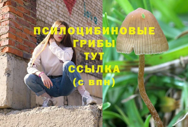 меф Алексин